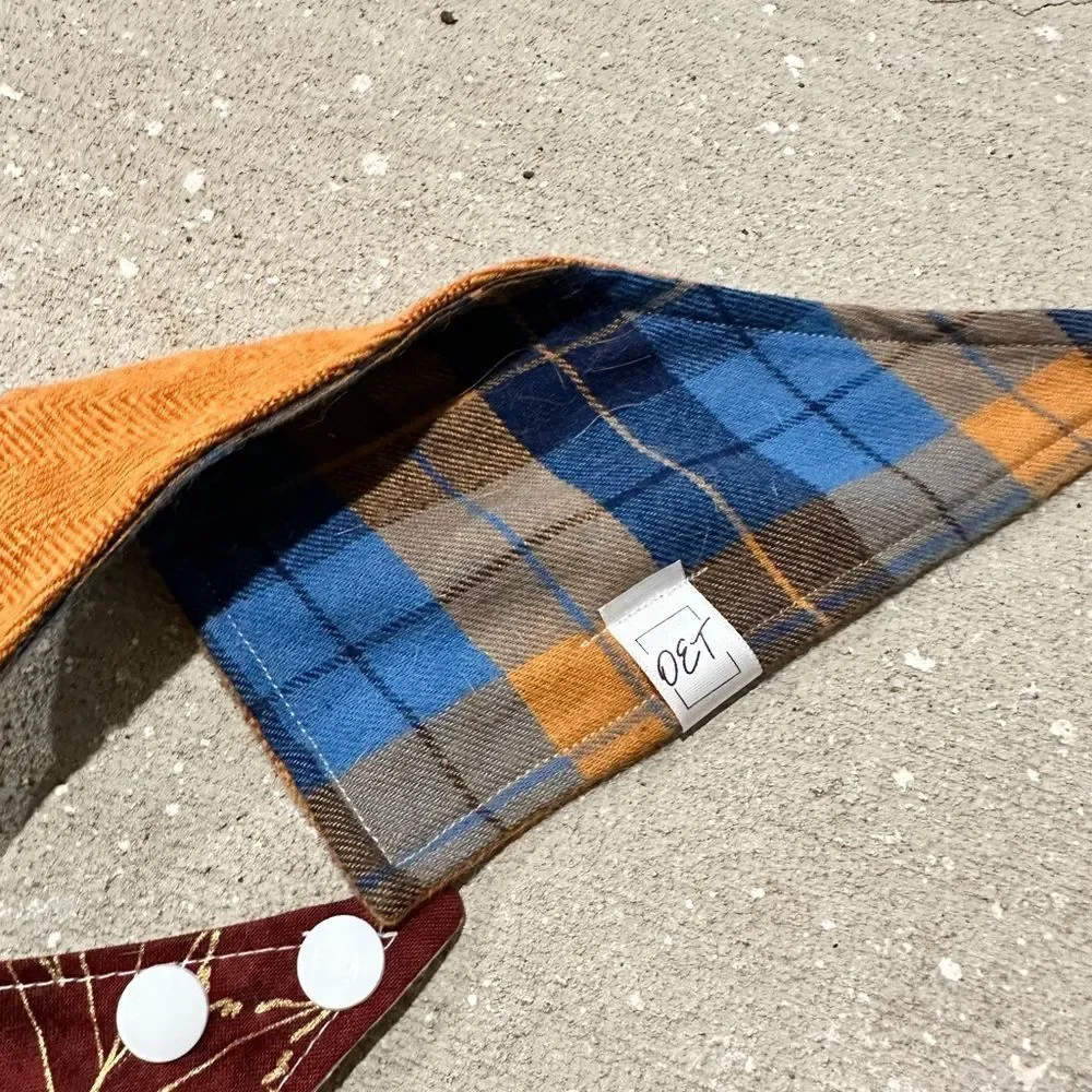 Fall themed cat bandanas